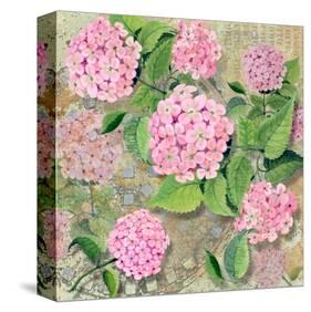 Pink Hydrangea II-Roberta Collier Morales-Stretched Canvas