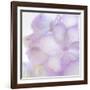 Pink Hydrangea II-Kathy Mahan-Framed Photographic Print