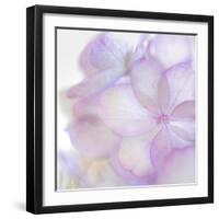 Pink Hydrangea II-Kathy Mahan-Framed Photographic Print