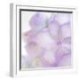 Pink Hydrangea II-Kathy Mahan-Framed Photographic Print