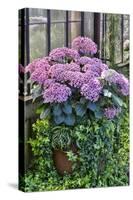 Pink hydrangea in pot at Longwood Gardens Conservatory, Pennsylvania-Darrell Gulin-Stretched Canvas