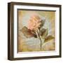 Pink Hydrangea Portrait-Lanie Loreth-Framed Art Print