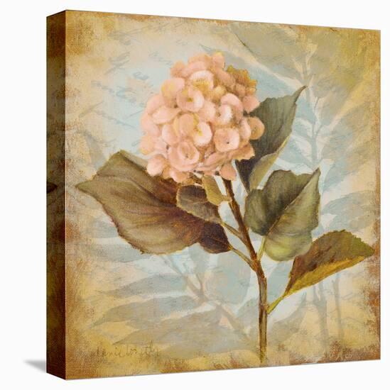 Pink Hydrangea Portrait-Lanie Loreth-Stretched Canvas