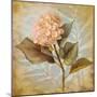 Pink Hydrangea Portrait-Lanie Loreth-Mounted Art Print