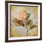 Pink Hydrangea Portrait-Lanie Loreth-Framed Art Print