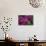 Pink Hydrangeas V-Rita Crane-Photographic Print displayed on a wall