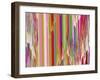 Pink Ice-Ruth Palmer-Framed Art Print