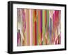 Pink Ice-Ruth Palmer-Framed Art Print