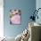 Pink Icing for Fairy Cakes-Winfried Heinze-Photographic Print displayed on a wall