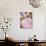 Pink Icing for Fairy Cakes-Winfried Heinze-Photographic Print displayed on a wall