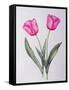 Pink impression-Sally Crosthwaite-Framed Stretched Canvas