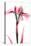 Pink Infused Iris 1-Albert Koetsier-Stretched Canvas