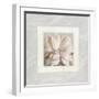 Pink Ivory Portrait 01-LightBoxJournal-Framed Giclee Print