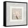 Pink Ivory Portrait 02-LightBoxJournal-Framed Stretched Canvas