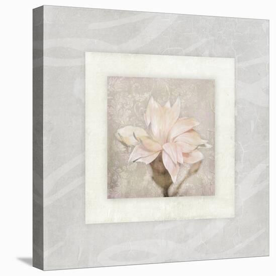 Pink Ivory Portrait 02-LightBoxJournal-Stretched Canvas