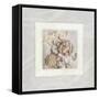 Pink Ivory Portrait 03-LightBoxJournal-Framed Stretched Canvas