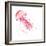 Pink Jellyfish-Sara Berrenson-Framed Art Print