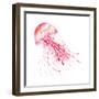 Pink Jellyfish-Sara Berrenson-Framed Art Print