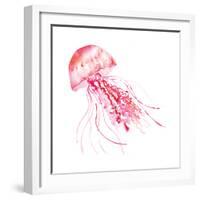 Pink Jellyfish-Sara Berrenson-Framed Art Print