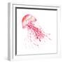 Pink Jellyfish-Sara Berrenson-Framed Art Print