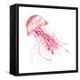 Pink Jellyfish-Sara Berrenson-Framed Stretched Canvas