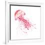 Pink Jellyfish-Sara Berrenson-Framed Art Print