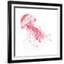 Pink Jellyfish-Sara Berrenson-Framed Art Print