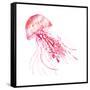 Pink Jellyfish-Sara Berrenson-Framed Stretched Canvas