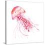 Pink Jellyfish-Sara Berrenson-Stretched Canvas