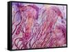 Pink Jellyfish-Lauren Moss-Framed Stretched Canvas