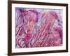 Pink Jellyfish-Lauren Moss-Framed Giclee Print