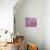 Pink Jellyfish-Lauren Moss-Giclee Print displayed on a wall
