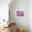 Pink Jellyfish-Lauren Moss-Framed Giclee Print displayed on a wall