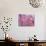 Pink Jellyfish-Lauren Moss-Giclee Print displayed on a wall