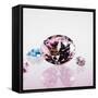 Pink Jewel-null-Framed Stretched Canvas