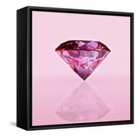 Pink Jewel-null-Framed Stretched Canvas