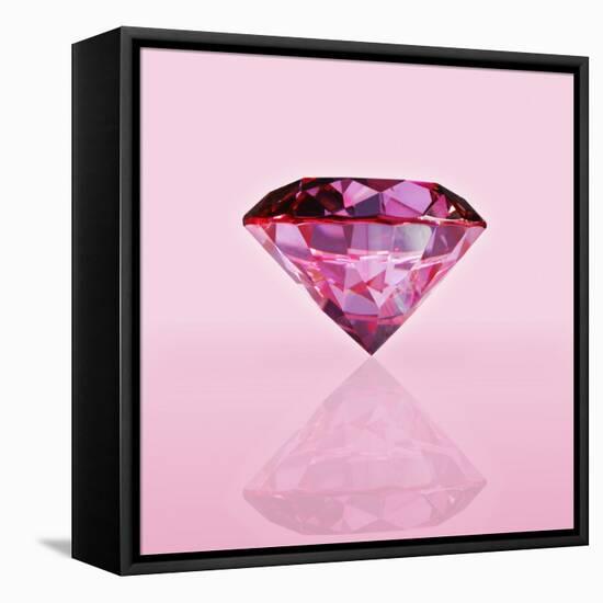 Pink Jewel-null-Framed Stretched Canvas