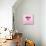 Pink Jewel-null-Stretched Canvas displayed on a wall