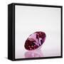 Pink Jewel-null-Framed Stretched Canvas