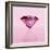 Pink Jewel-null-Framed Photographic Print