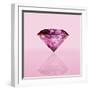 Pink Jewel-null-Framed Photographic Print