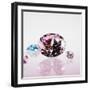 Pink Jewel-null-Framed Photographic Print