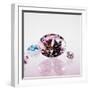 Pink Jewel-null-Framed Photographic Print