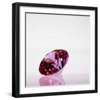 Pink Jewel-null-Framed Photographic Print