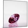 Pink Jewel-null-Mounted Photographic Print