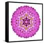 Pink Kaleidoscopic Flower Mandala-tr3gi-Framed Stretched Canvas