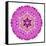 Pink Kaleidoscopic Flower Mandala-tr3gi-Framed Stretched Canvas