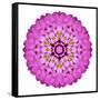 Pink Kaleidoscopic Flower Mandala-tr3gi-Framed Stretched Canvas