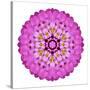 Pink Kaleidoscopic Flower Mandala-tr3gi-Stretched Canvas