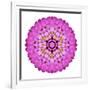 Pink Kaleidoscopic Flower Mandala-tr3gi-Framed Premium Giclee Print